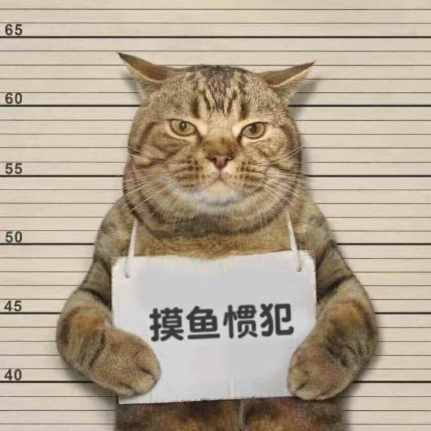 隔壁小王