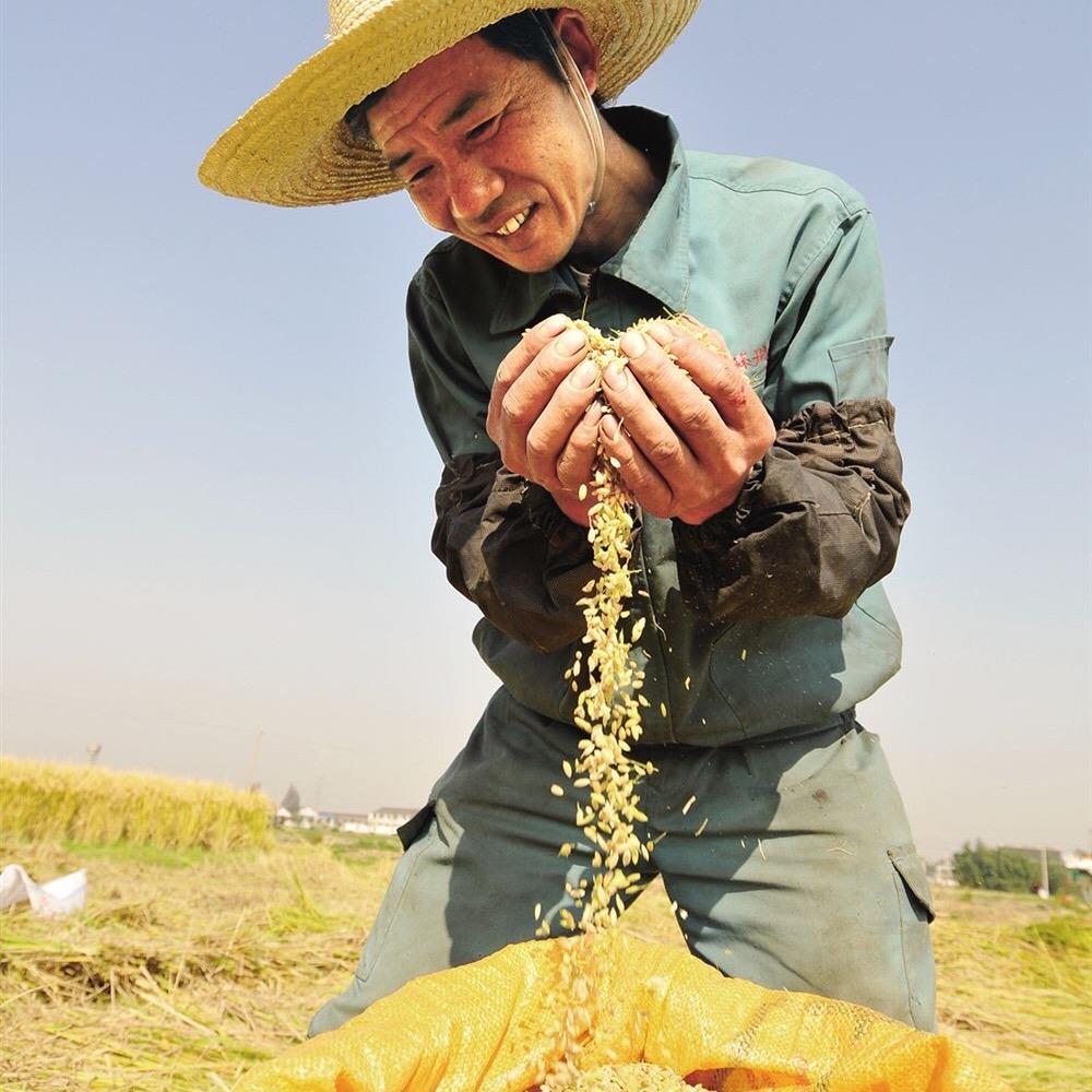 陆羽特色食品店个体店