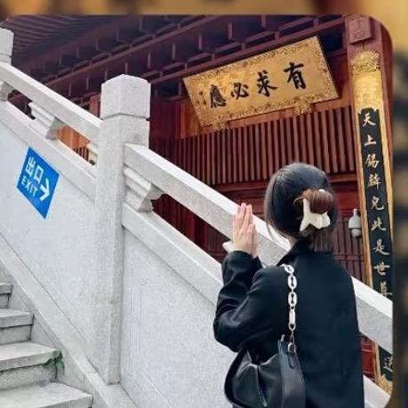 不吃酸葡萄的张张