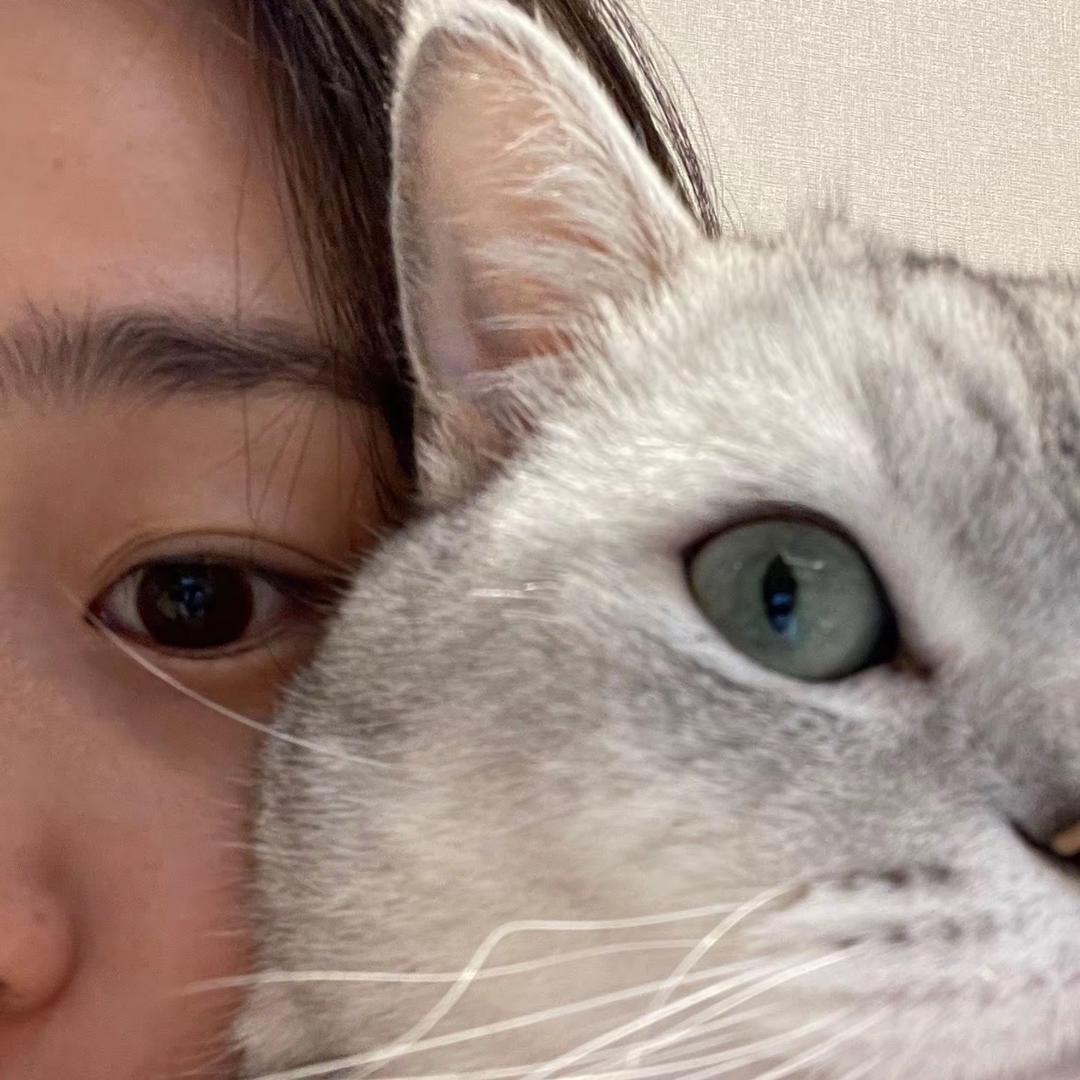 娃娃菜不菜