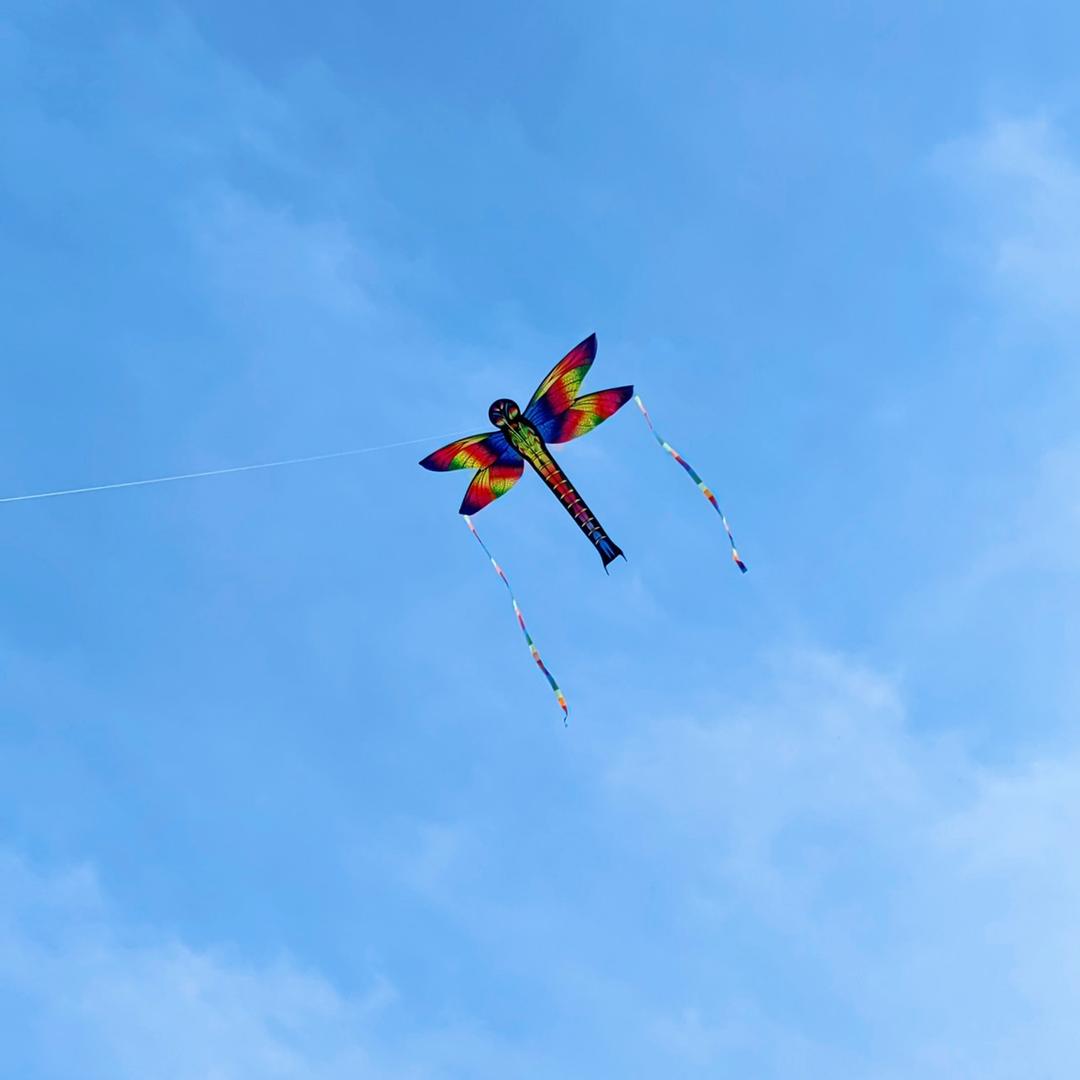 潍坊乐喜风筝店