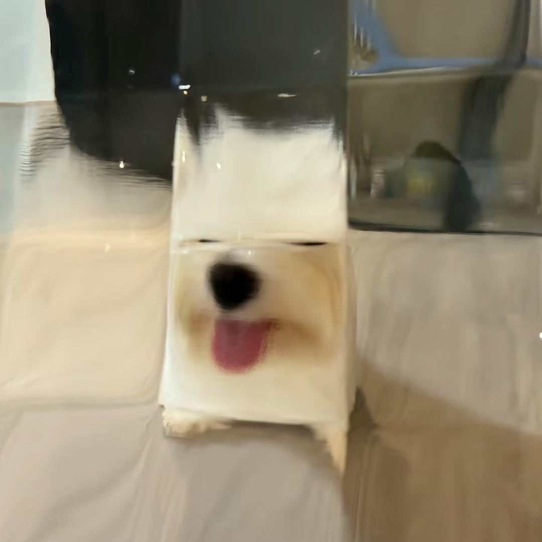 zjxsb