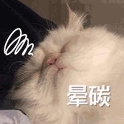 晕碳