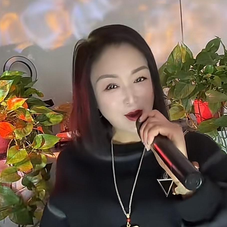 绽放的玫瑰