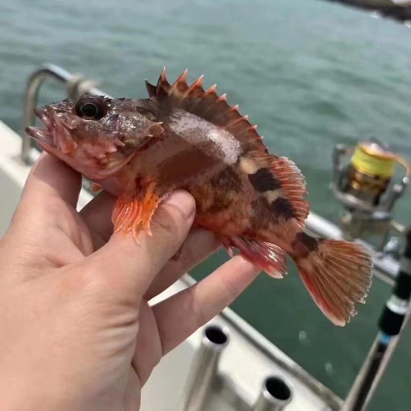 阿龙休闲海钓