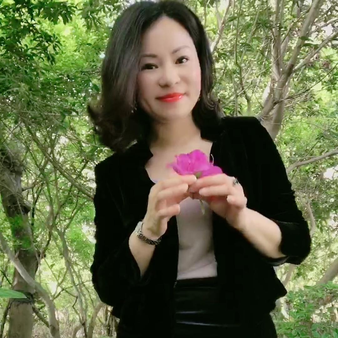 蓝芯