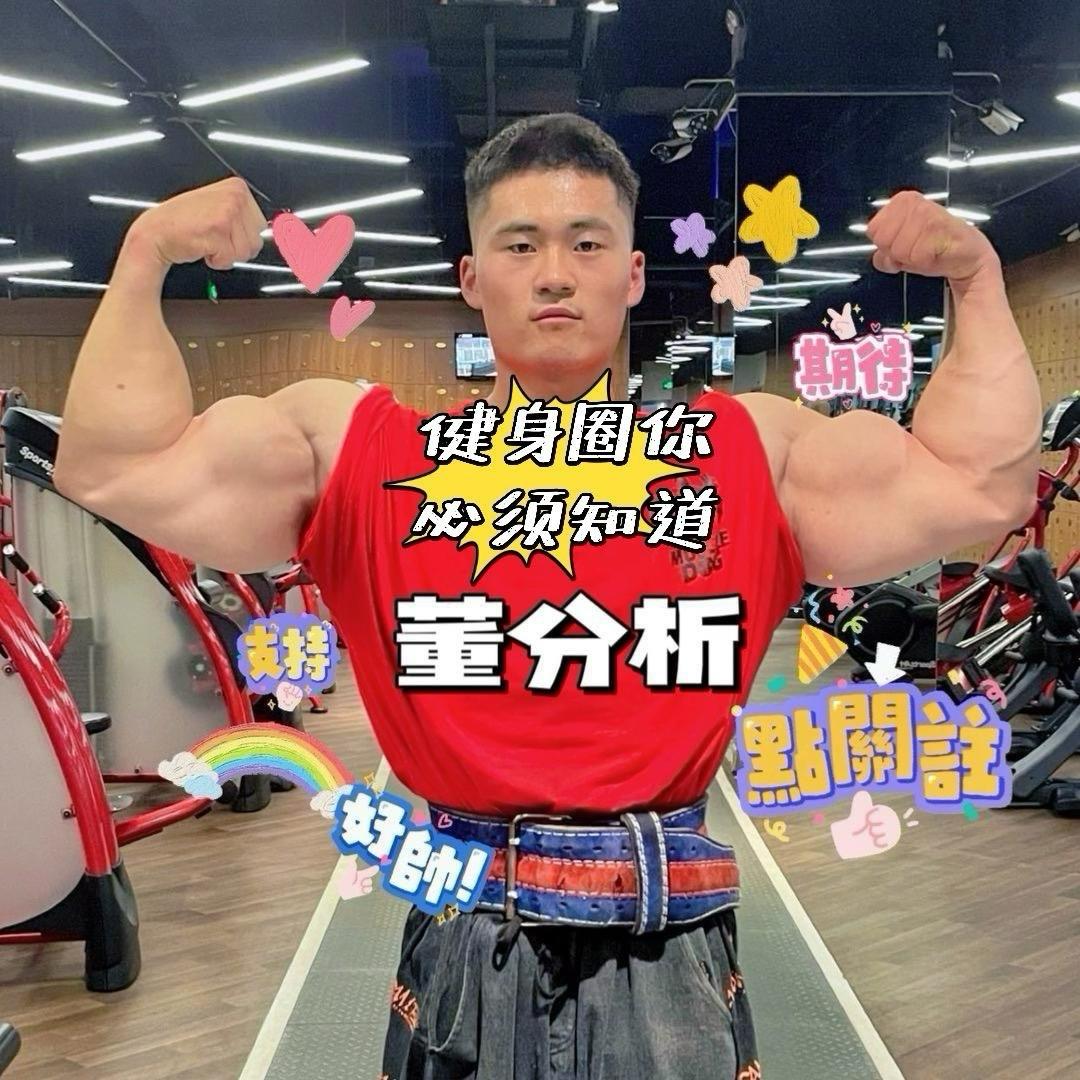 董分析