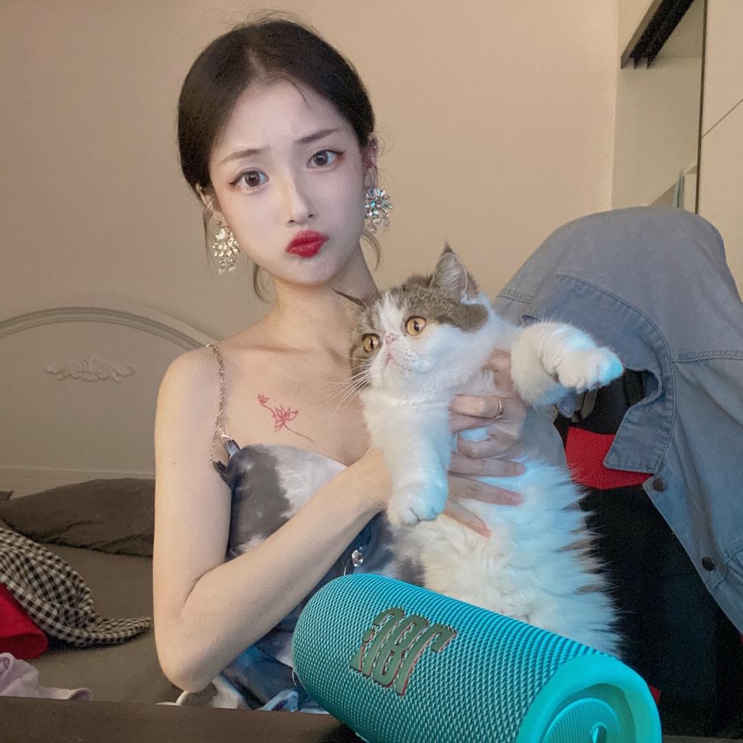 狐狸小神仙