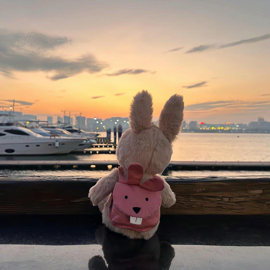 贝儿🧸