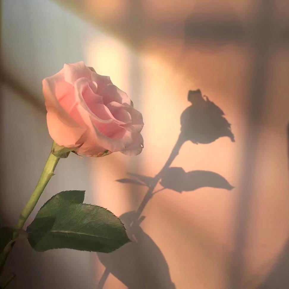 海纳百川-鑫💕