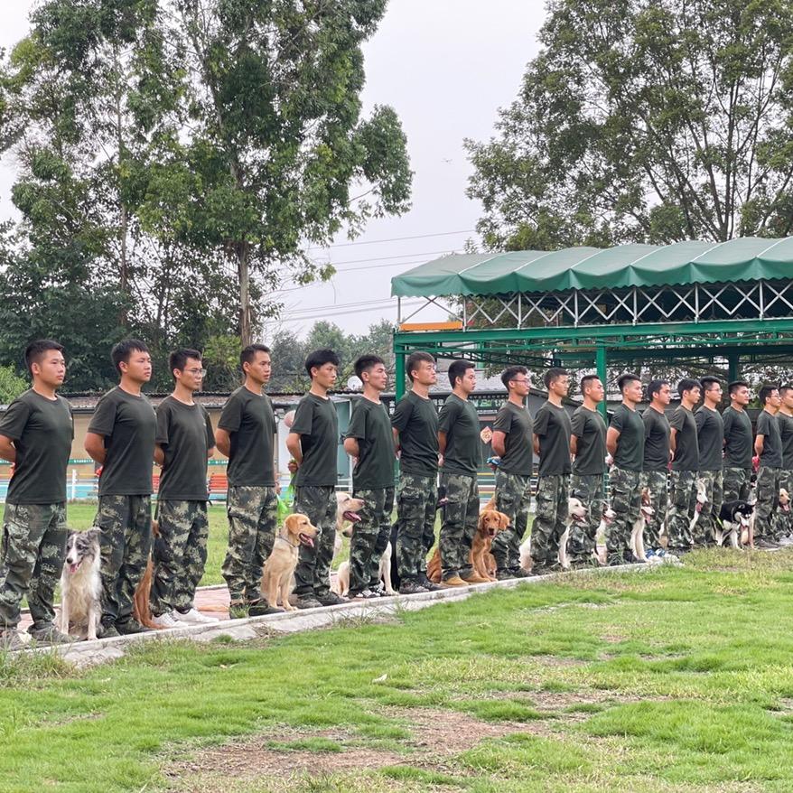 武汉家宝训犬基地官方号
