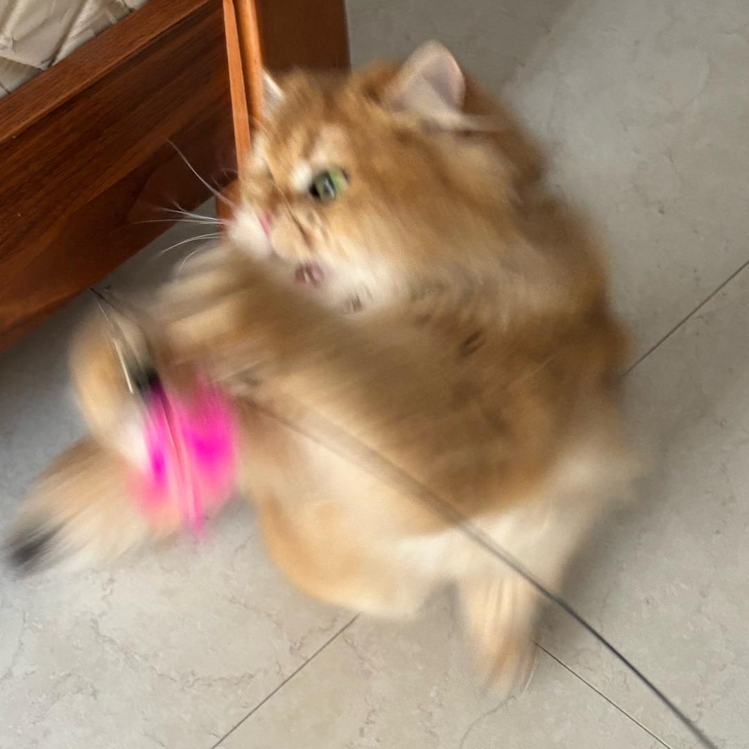 今天很躁