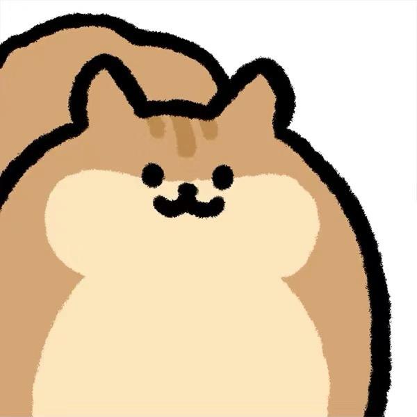 🐿️🐿️