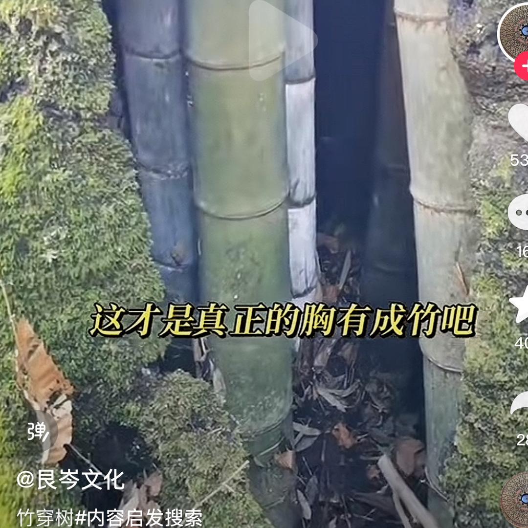 祥子