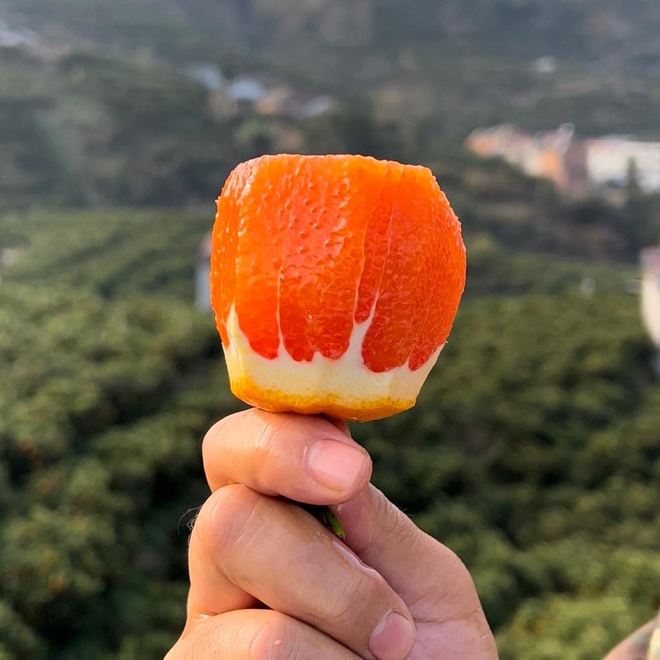满堂鲜水果