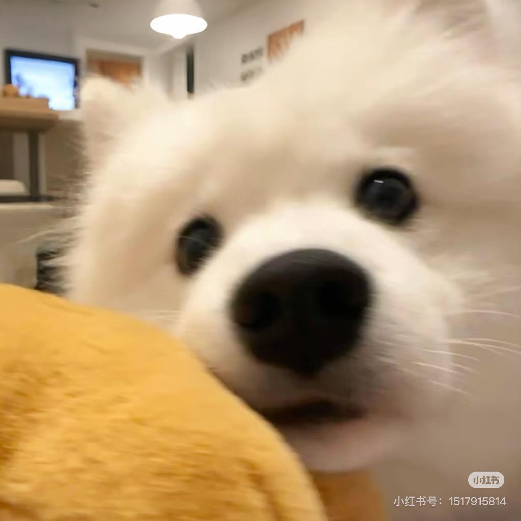 余白