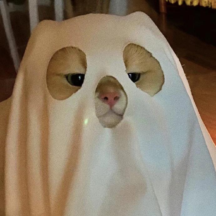 ⩌⩊⩌