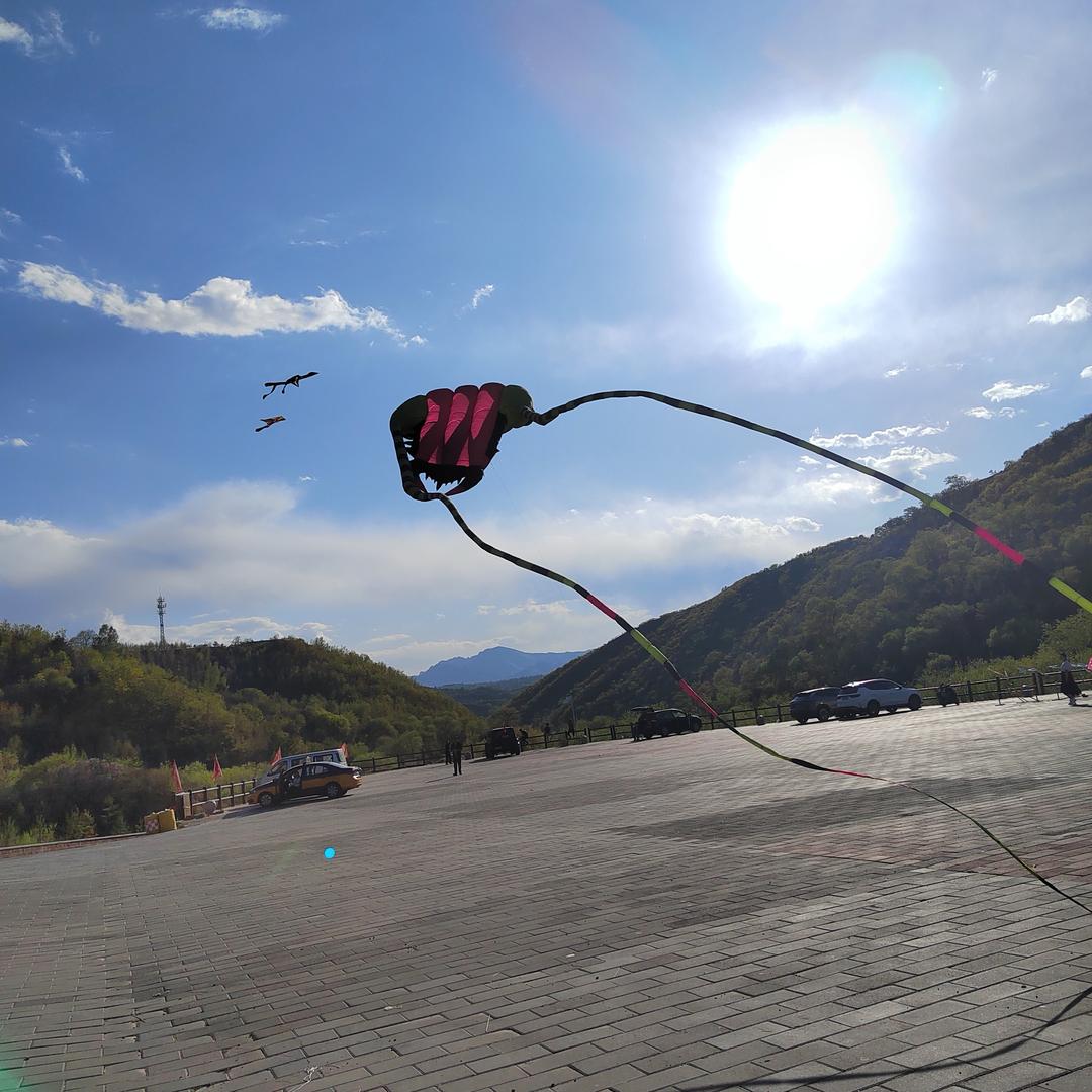 明月照我心