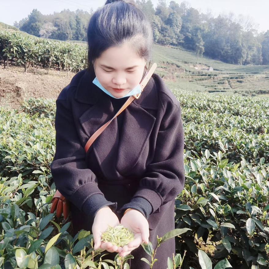 天甄茶行（自营）