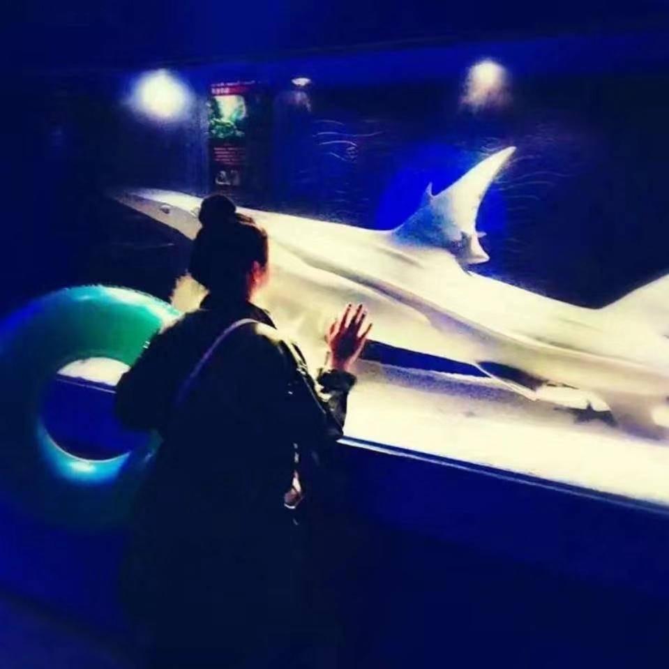 小龙冰！
