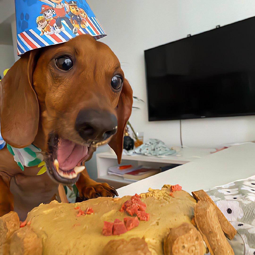 别问我我不知道吃什么