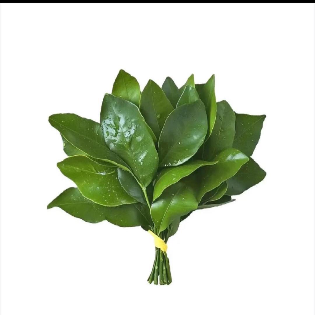 ☺︎ ʜᴀ͟ᴘ͟ᴘ͟ʏ橙子🍊