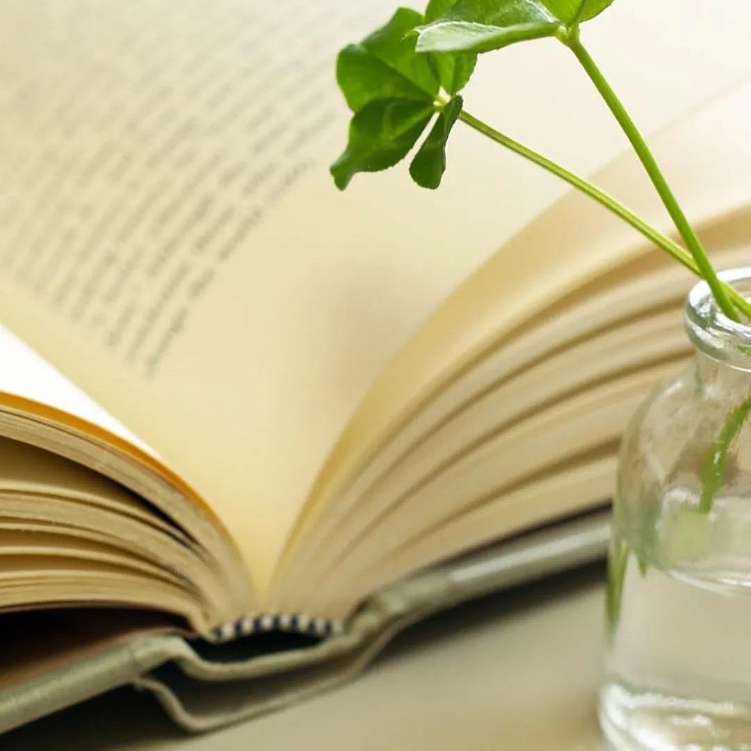 痞子(°_°)…爱号