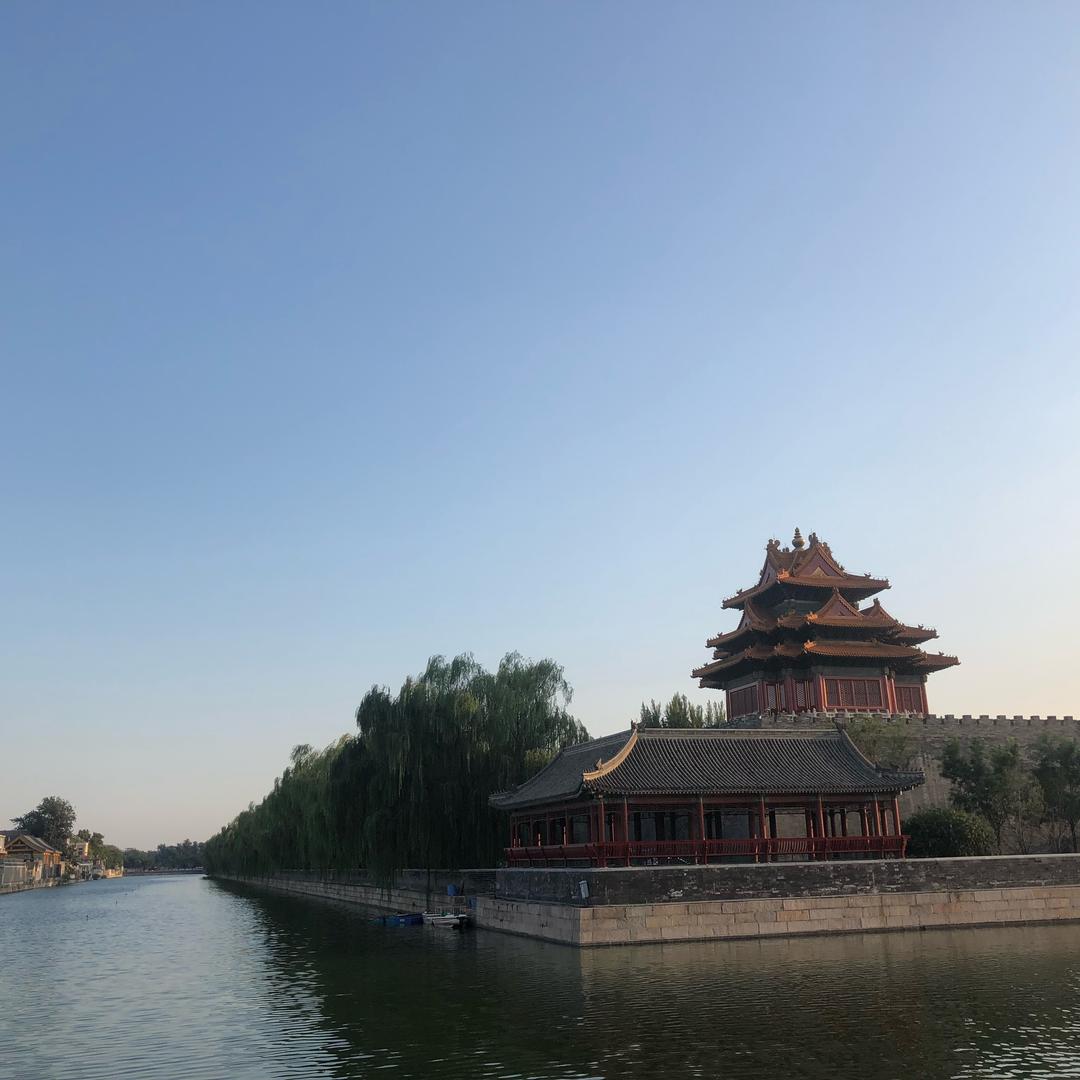 25号底片