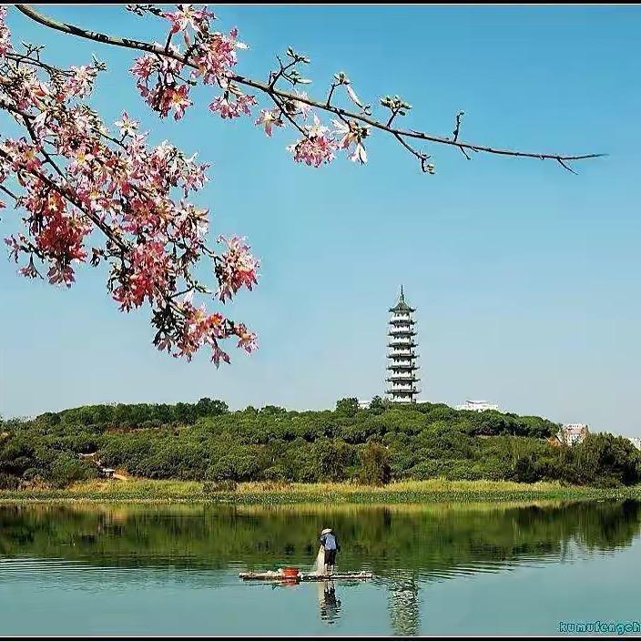 明天的阳光很美！