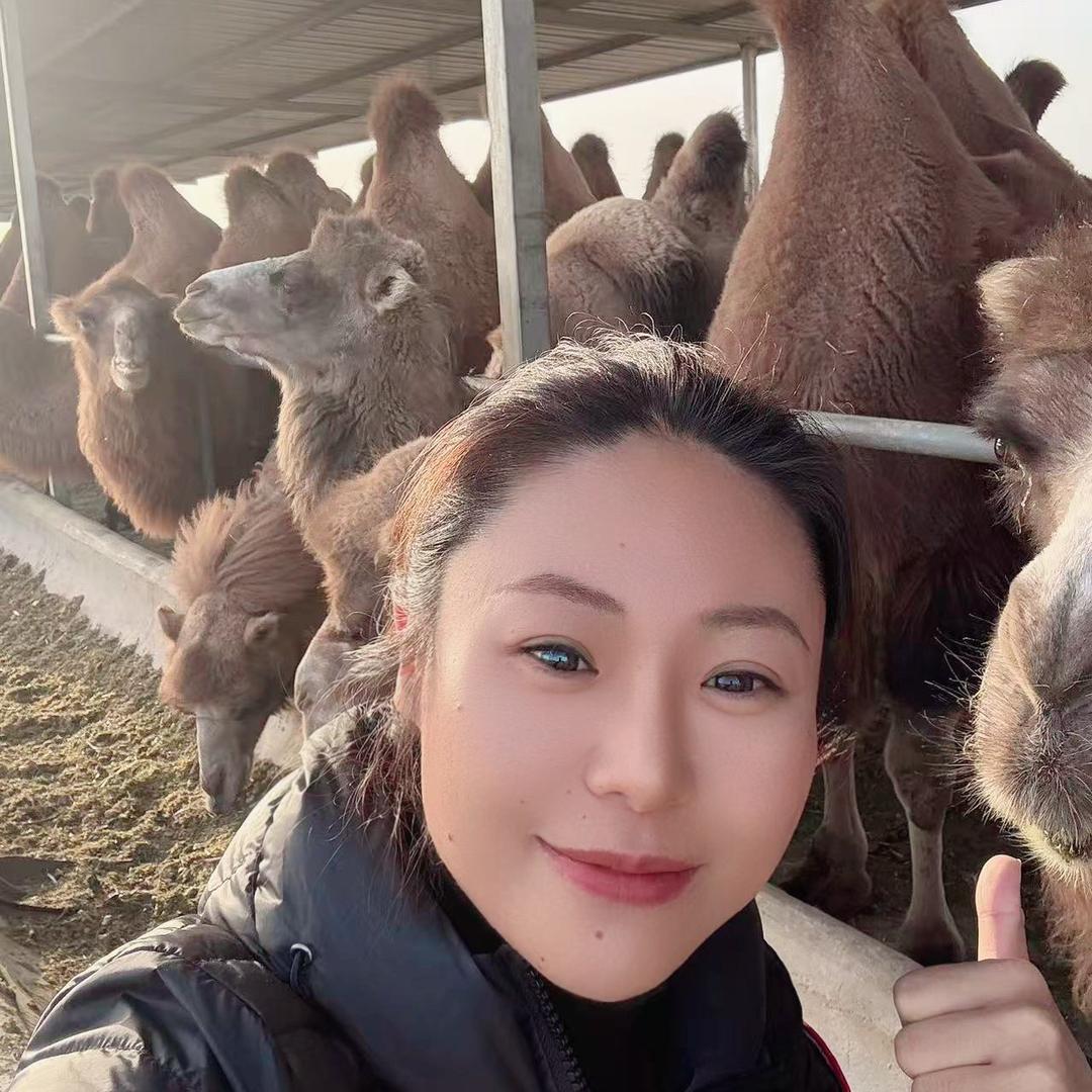 牧民姐弟新疆纯驼奶（姐姐）