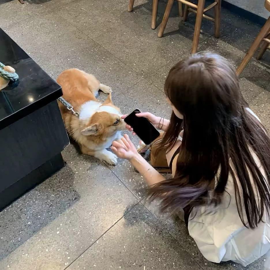 ￴￴ ￴ ￴￴ ￴￴￴  ￴貓貓.