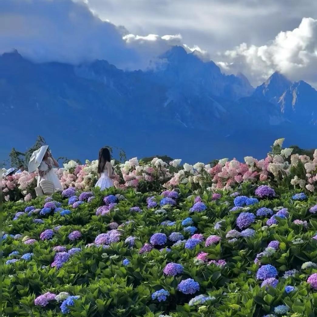 广州万采百货店（个人独资）