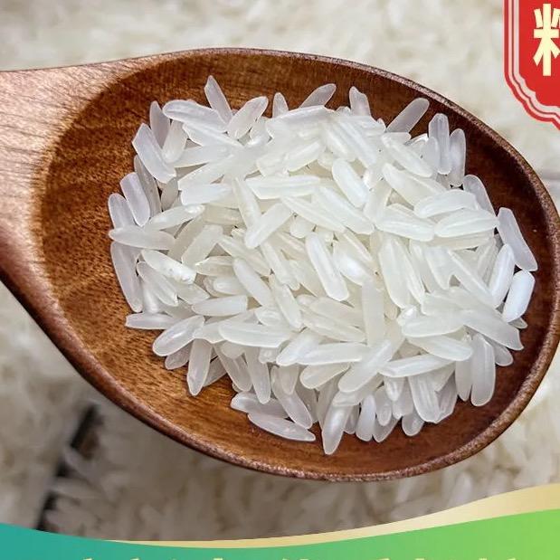 卖长粒米的姚姑娘-