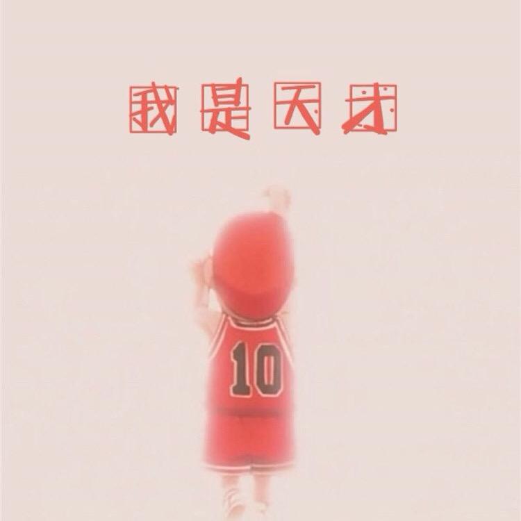 似枫5680