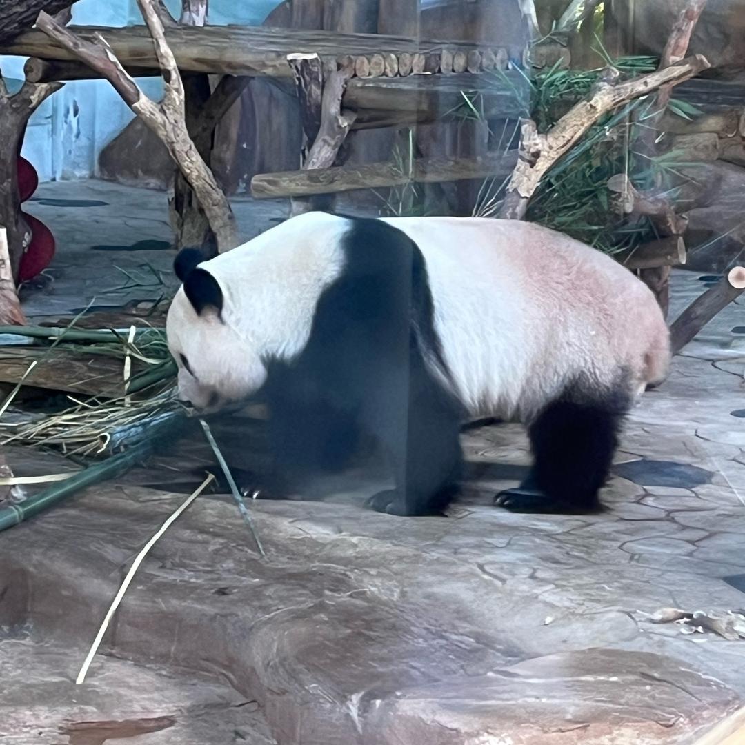 ᭄ཽ࿆低調٭大叔࿐ོ