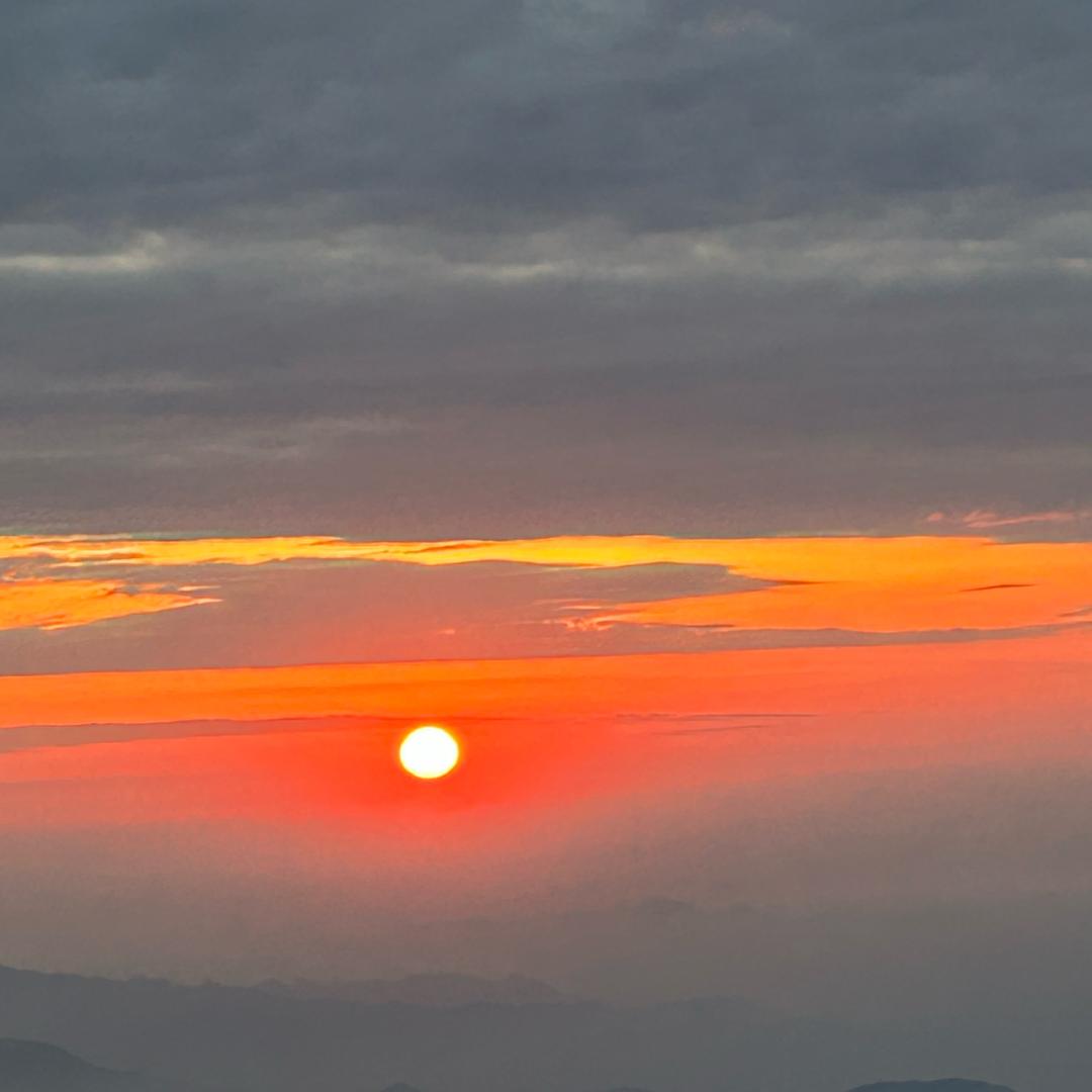 小白鸽好物推荐