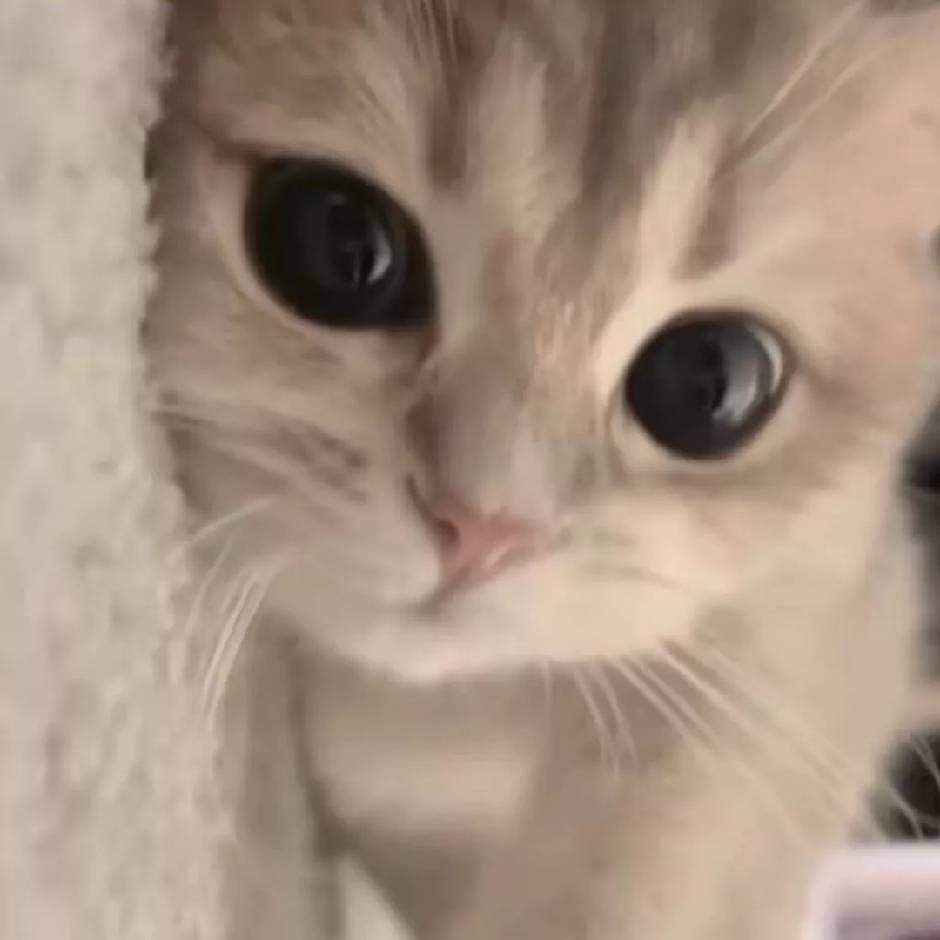葡了个萄