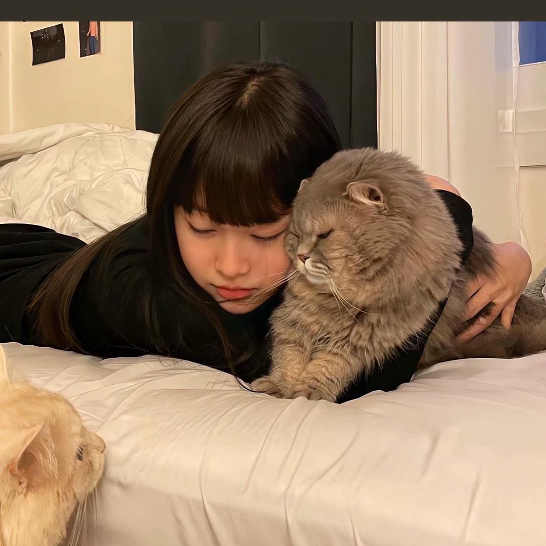 .航.