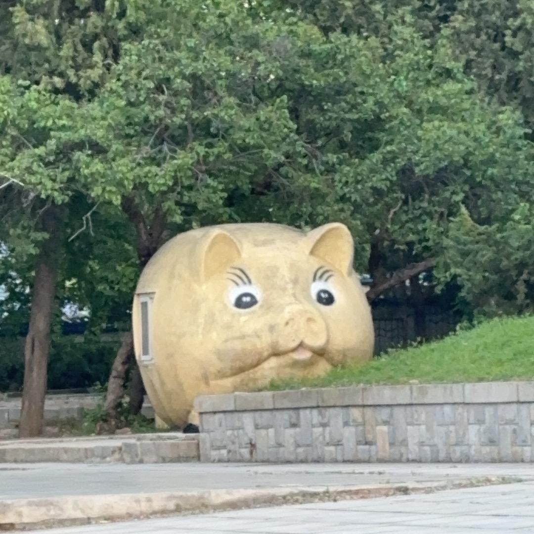 酸辣小竹孙