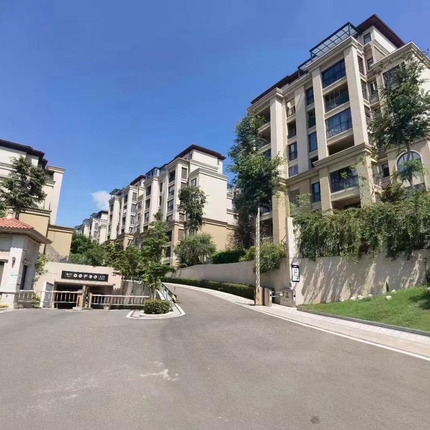 射洪卖房小李帮你飞刀