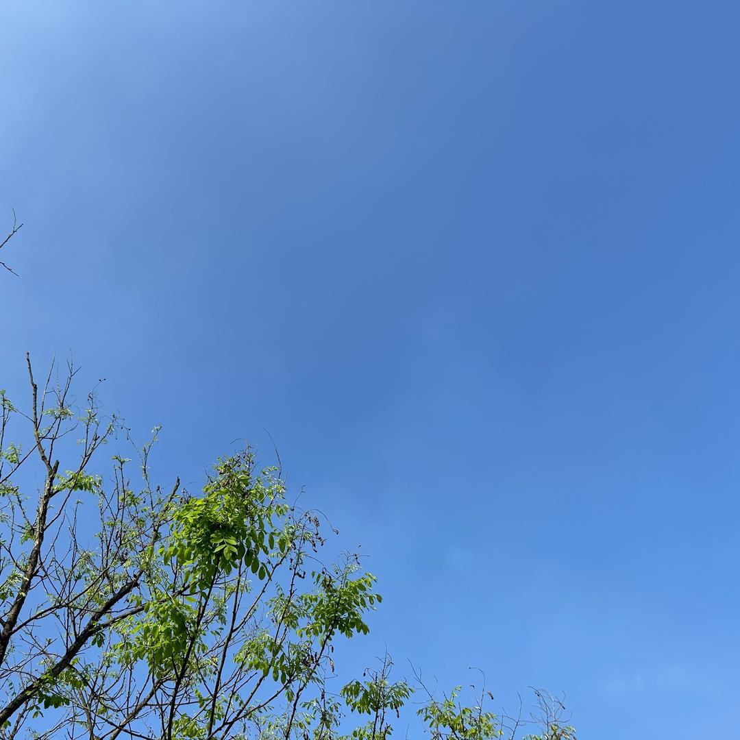 YOYO