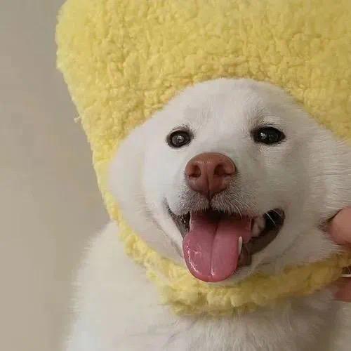 等一个人