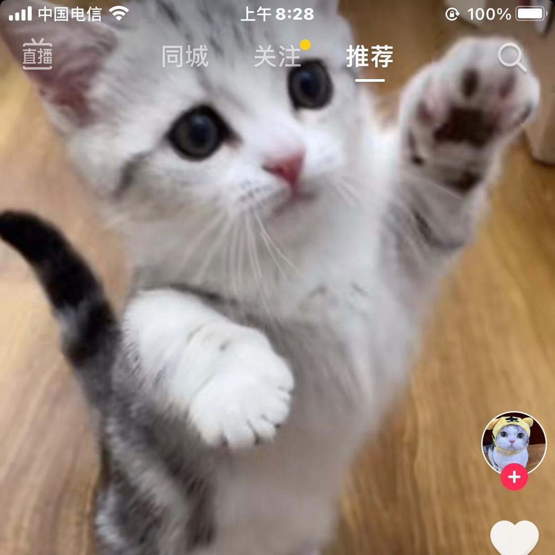 谈笑风生