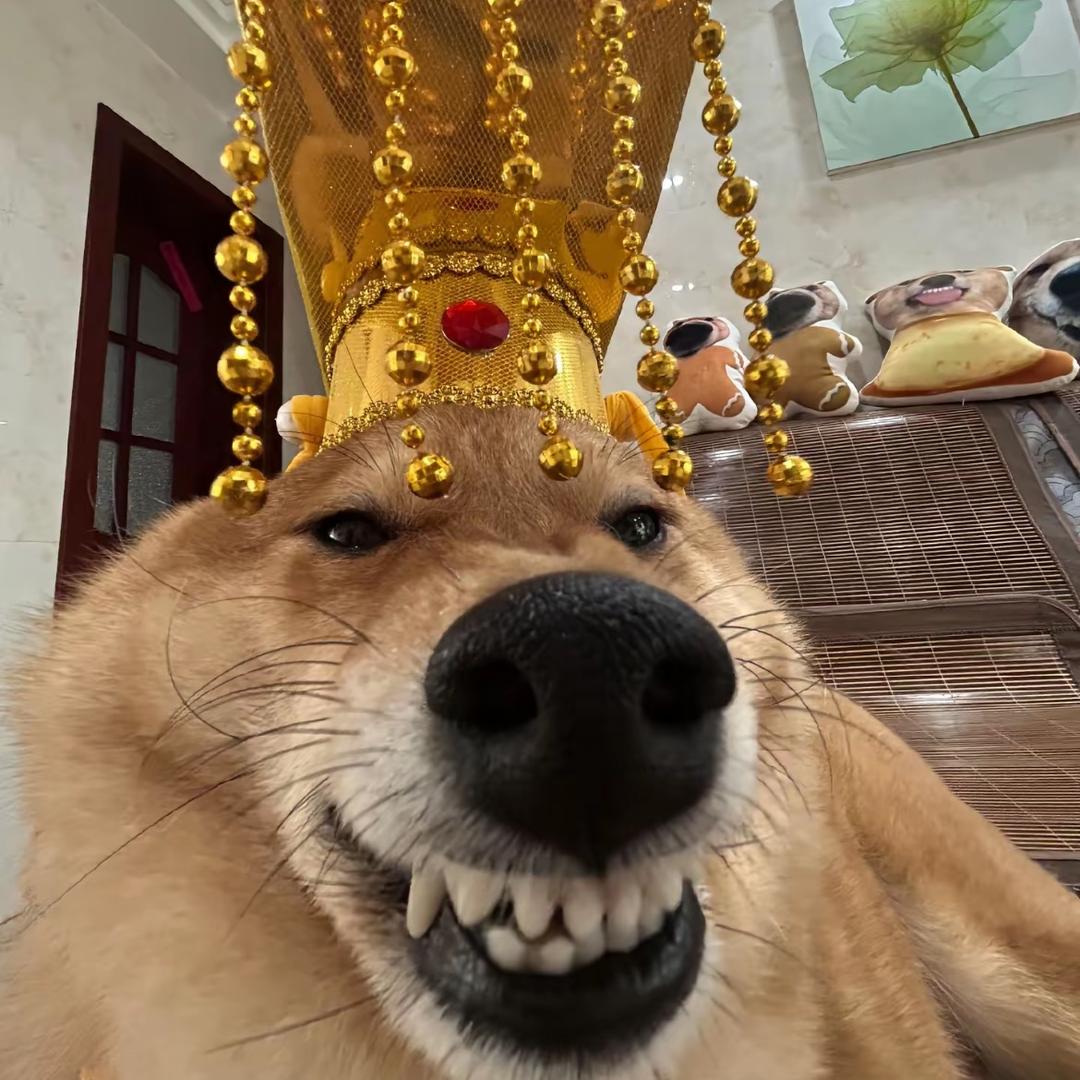喜欢吃好吃的
