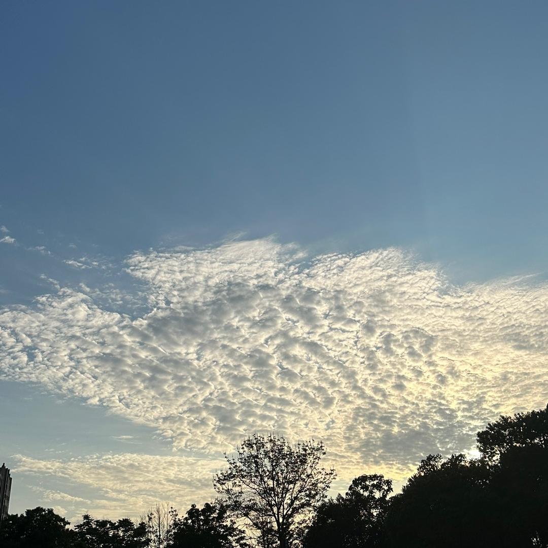 深圳市米小游网络科技有限公司