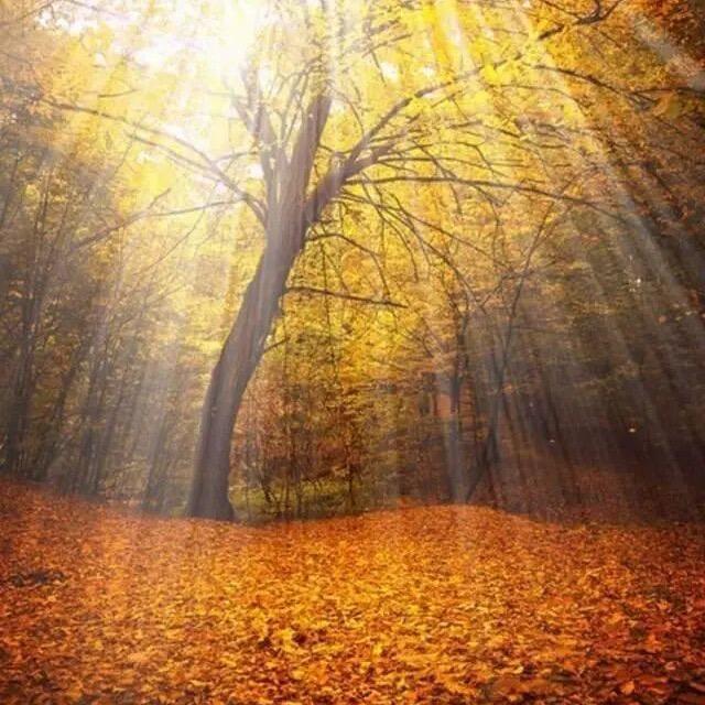 品牌空调总部A6仓