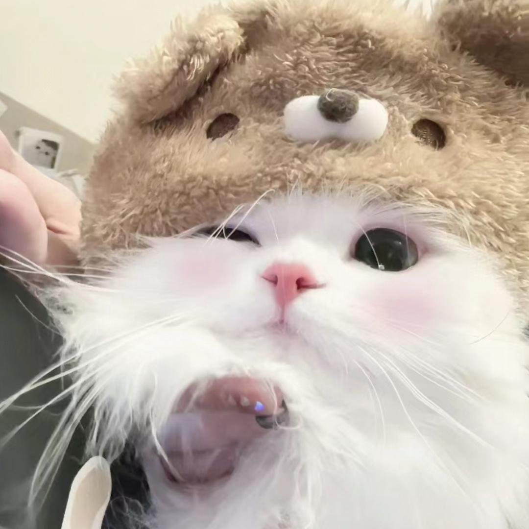 兔兔宝宝