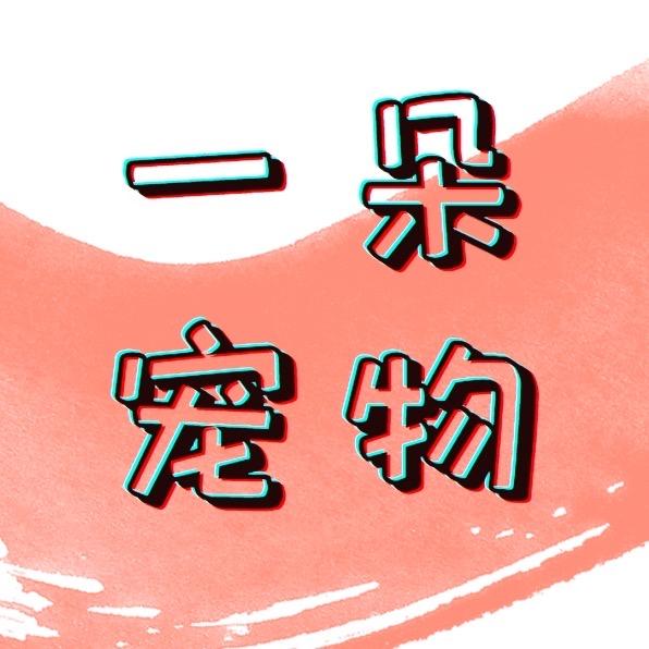 𝒀𝑫-𝒑𝒆𝒕 𝒔𝒉𝒐𝒑