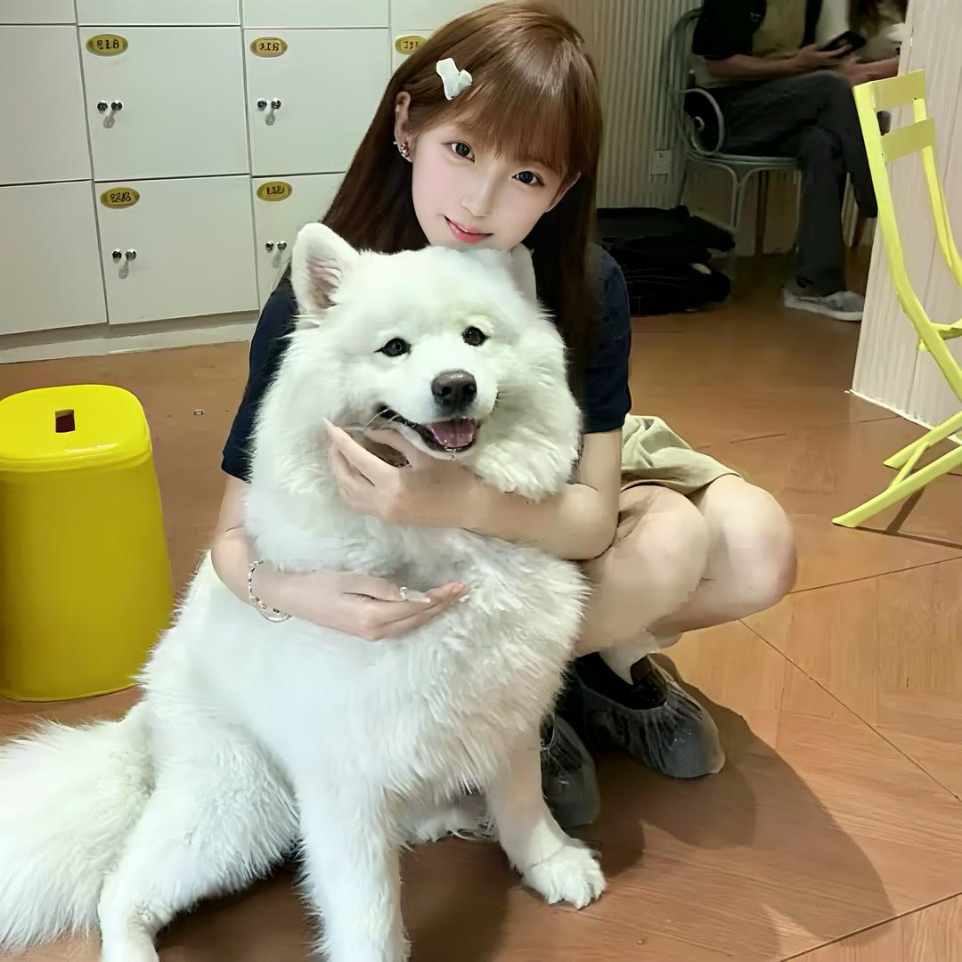 -小飞漁.