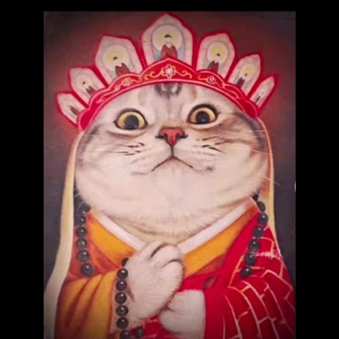 韭菜新芽(三角洲行动)